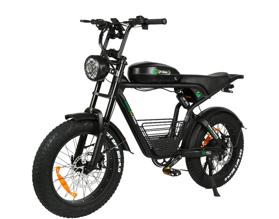GM Pro-1 Electric Bike