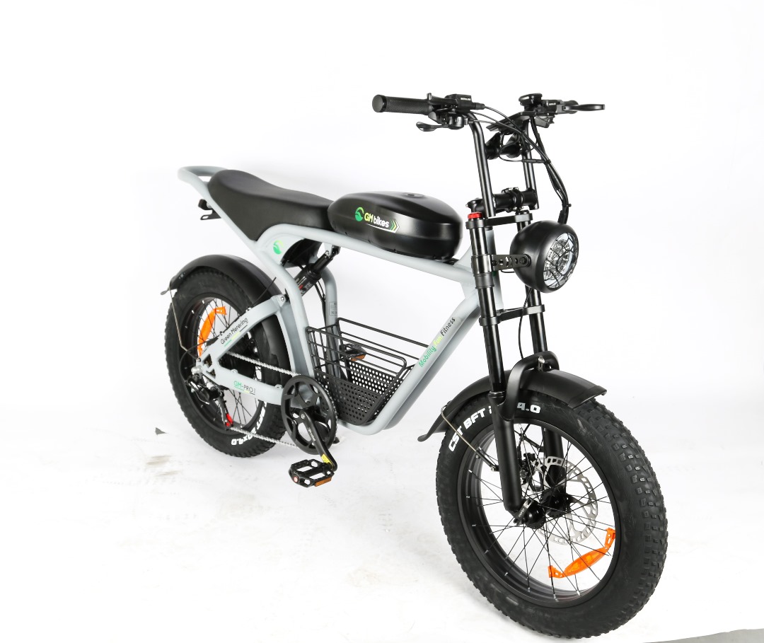 GM Pro-1 Electric Bike