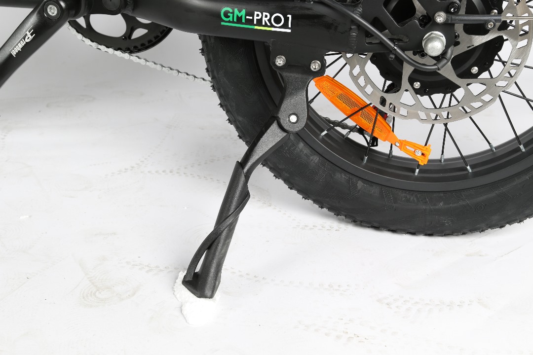 GM Pro-1 Electric Bike