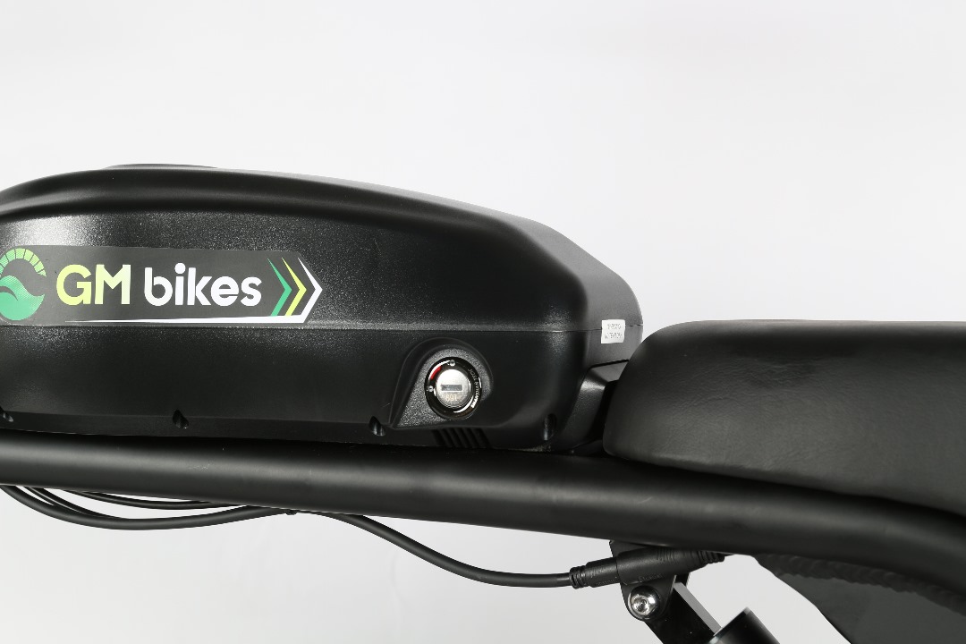 GM Pro-1 Electric Bike