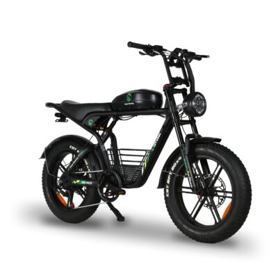 GM Pro-2 Electric Bike